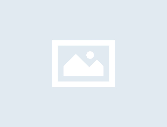 Cheese Price Trend: Latest Price, Market Analysis, Historical Data & Forecast – openPR.com